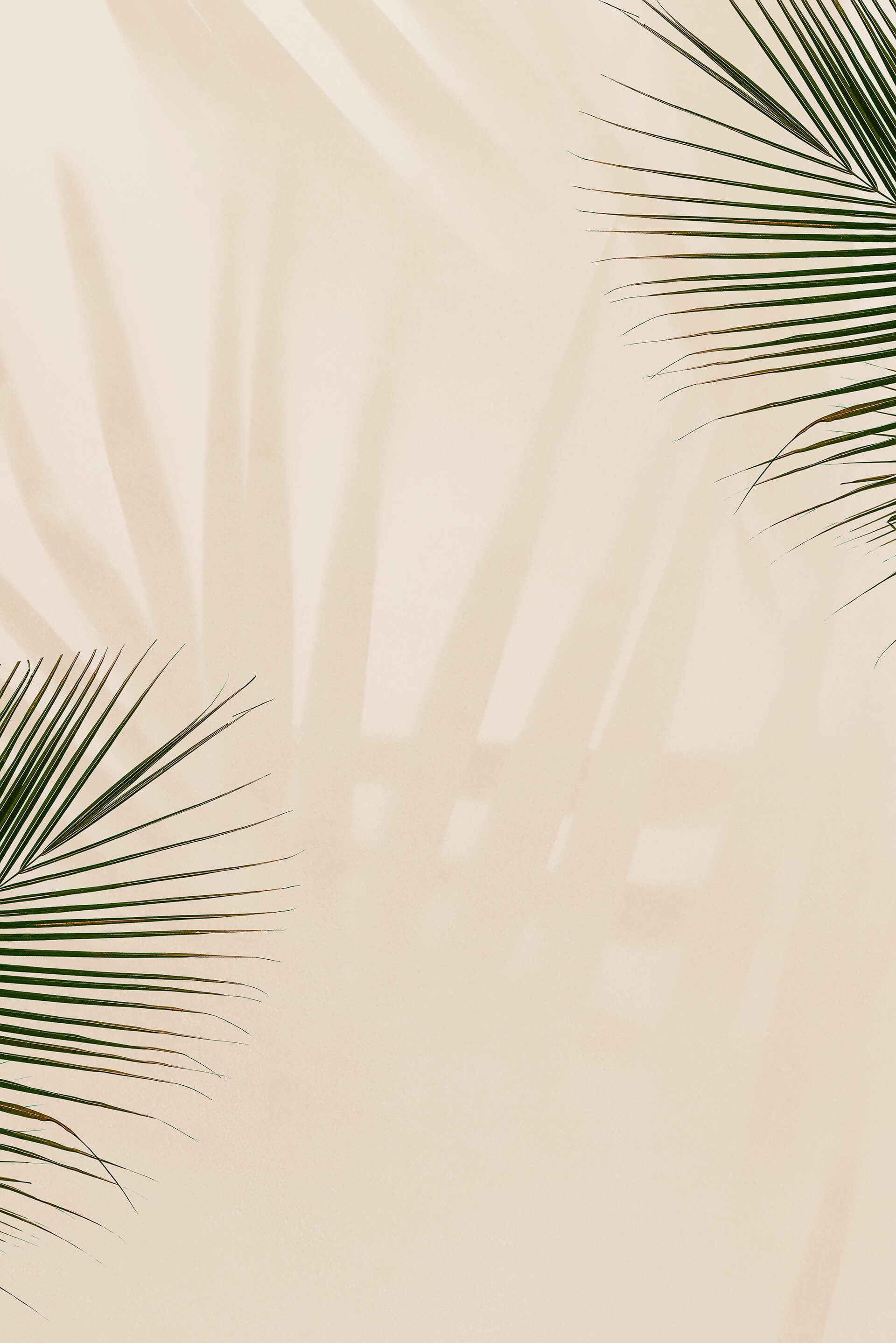 beriproject.com web sitemiz yapım aşamasındadır.